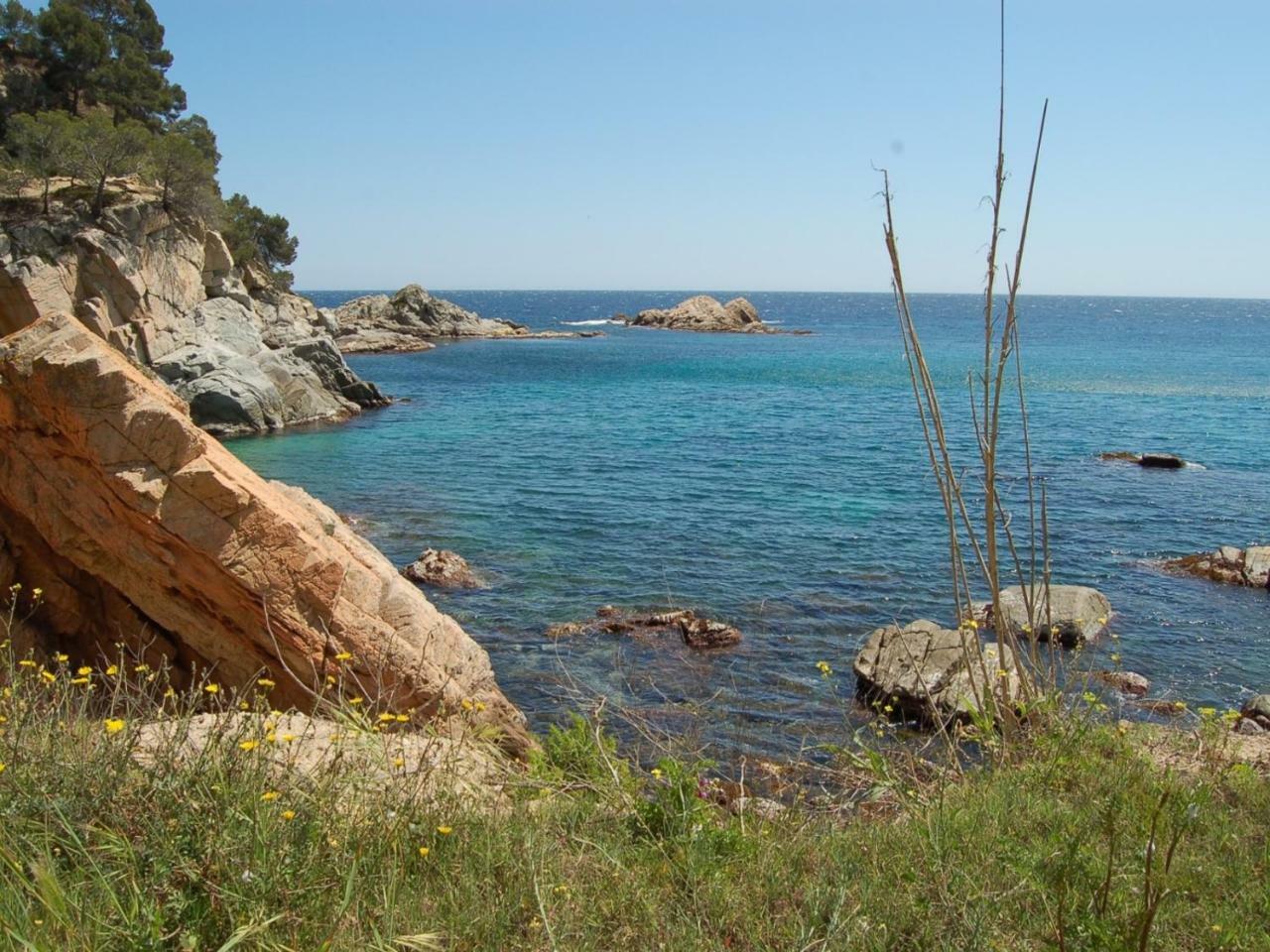 Studios Face A La Mer - Cala Llevado 滨海托萨 外观 照片
